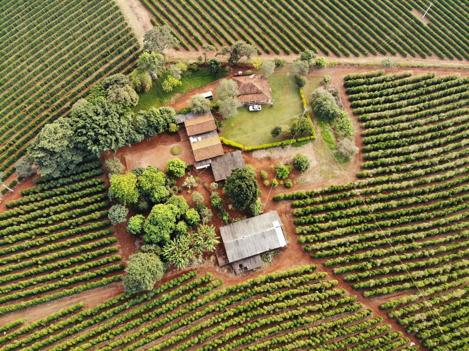Vista aérea da fazenda Café d'Família na Alta Mogiana